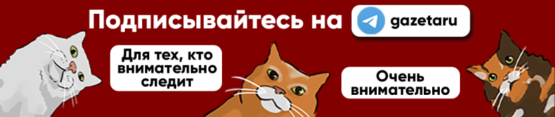 Вымогатель из «Кремлевской прачки». В Москве задержали администратора Telegram-канала